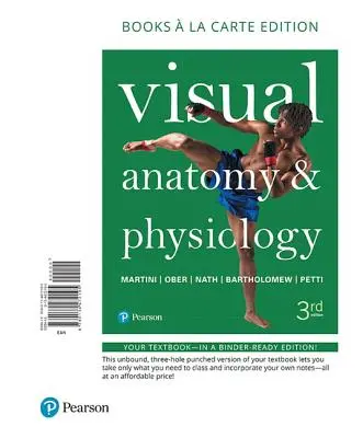 Visuelle Anatomie und Physiologie - Visual Anatomy & Physiology