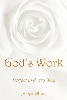 Gottes Werk: Vollkommen in jeder Hinsicht - God's Work: Perfect in Every Way