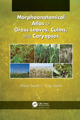 Morphoanatomischer Atlas der Grasblätter, -stängel und -karyopsen - Morphoanatomical Atlas of Grass Leaves, Culms, and Caryopses