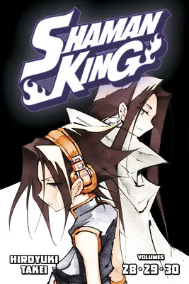 Schamanenkönig Omnibus 10 (Bd. 28-30) - Shaman King Omnibus 10 (Vol. 28-30)