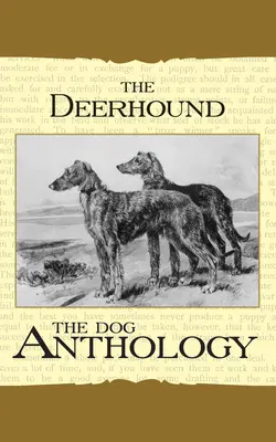 Der Deerhound - Eine Hunde-Anthologie (Ein Rasse-Klassiker aus dem Hundebuch) - The Deerhound - A Dog Anthology (A Vintage Dog Books Breed Classic)