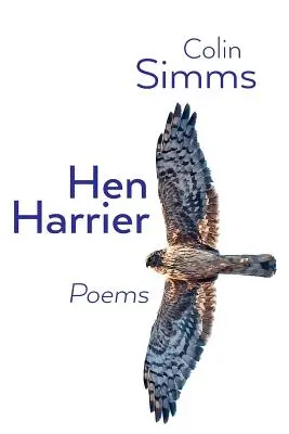 Kornweihe Gedichte - Hen Harrier Poems