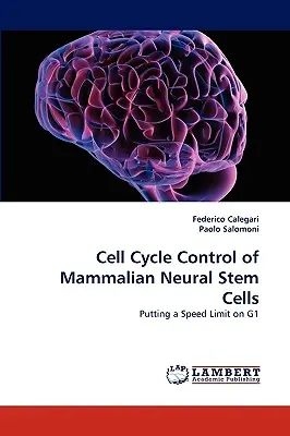Zellzykluskontrolle neuraler Stammzellen von Säugetieren - Cell Cycle Control of Mammalian Neural Stem Cells