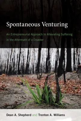 Spontane Unternehmungen: Ein unternehmerischer Ansatz zur Linderung des Leids nach einer Katastrophe - Spontaneous Venturing: An Entrepreneurial Approach to Alleviating Suffering in the Aftermath of a Disaster