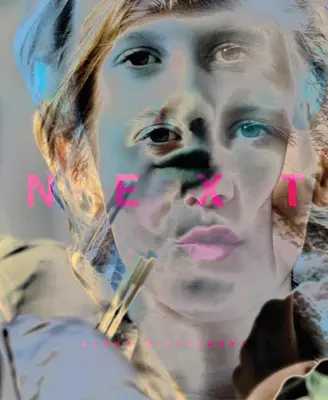 Klaus Mitteldorf: Weiter - Klaus Mitteldorf: Next