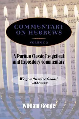 Kommentar zum Hebräerbrief: Exegetisch und darlegend - Bd. 2 (8-13) - Commentary on Hebrews: Exegetical and Expository - Vol. 2 (8-13)