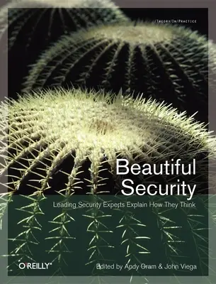 Beautiful Security: Führende Sicherheitsexperten erklären, wie sie denken - Beautiful Security: Leading Security Experts Explain How They Think