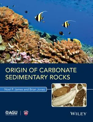 Die Entstehung der Karbonat-Sedimentgesteine - Origin of Carbonate Sedimentary Rocks