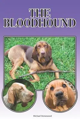 Der Bluthund: Ein kompletter und umfassender Leitfaden für Einsteiger: Kaufen, Besitzen, Gesundheit, Pflege, Training, Gehorsam, Verstehen - The Bloodhound: A Complete and Comprehensive Beginners Guide To: Buying, Owning, Health, Grooming, Training, Obedience, Understanding