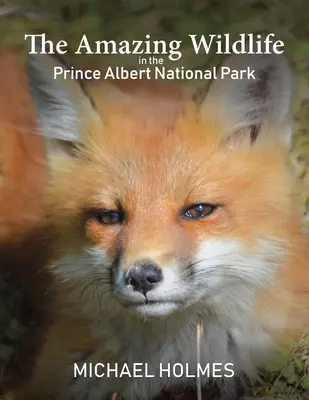 Die erstaunliche Tierwelt im Prince Albert National Park - The Amazing Wildlife in the Prince Albert National Park
