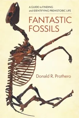 Fantastische Fossilien: Ein Leitfaden zum Auffinden und Identifizieren prähistorischen Lebens - Fantastic Fossils: A Guide to Finding and Identifying Prehistoric Life