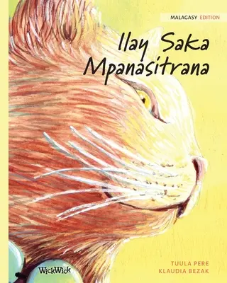 Ilay Saka Mpanasitrana: Madagassische Ausgabe von The Healer Cat - Ilay Saka Mpanasitrana: Malagasy Edition of The Healer Cat