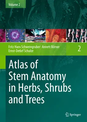 Atlas der Stammesanatomie von Kräutern, Sträuchern und Bäumen: Band 2 - Atlas of Stem Anatomy in Herbs, Shrubs and Trees: Volume 2