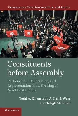 Wähler vor der Versammlung: Partizipation, Deliberation und Repräsentation bei der Ausarbeitung neuer Verfassungen - Constituents Before Assembly: Participation, Deliberation, and Representation in the Crafting of New Constitutions