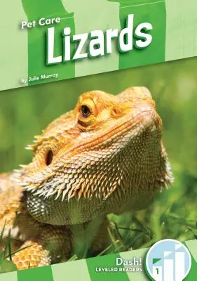 Eidechsen - Lizards