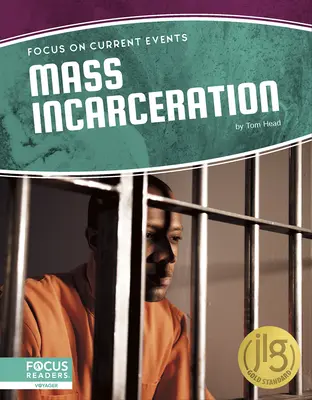 Masseninhaftierung - Mass Incarceration