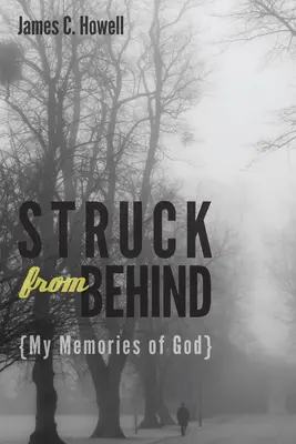 Von hinten angeschlagen: Meine Erinnerungen an Gott - Struck from Behind: My Memories of God