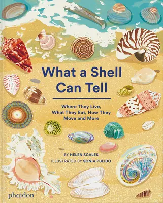 Was eine Muschel erzählen kann - What a Shell Can Tell