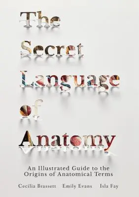 Die geheime Sprache der Anatomie: Ein illustrierter Leitfaden zu den Ursprüngen der anatomischen Begriffe - The Secret Language of Anatomy: An Illustrated Guide to the Origins of Anatomical Terms