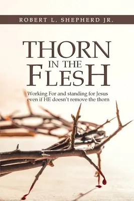 Dornen im Fleisch: Für Jesus arbeiten und zu ihm stehen, auch wenn er den Dorn nicht entfernt - Thorn in the Flesh: Working for and Standing for Jesus Even If HE Doesn't Remove the Thorn