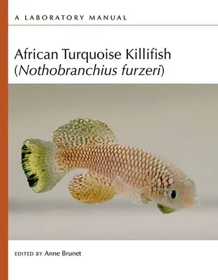 Afrikanischer Türkis-Kugelfisch (Nothobranchius Furzeri): Ein Laborhandbuch - African Turquoise Killifish (Nothobranchius Furzeri): A Laboratory Manual