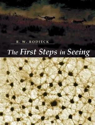 Die ersten Schritte des Sehens - The First Steps in Seeing