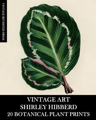 Vintage Kunst: Shirley Hibberd 20 botanische Pflanzendrucke - Vintage Art: Shirley Hibberd 20 Botanical Plant Prints