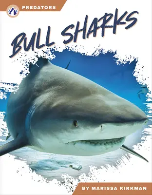 Bullenhaie - Bull Sharks