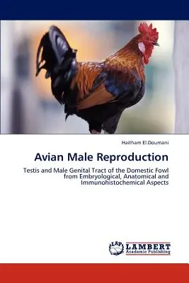 Männliche Fortpflanzung bei Vögeln - Avian Male Reproduction