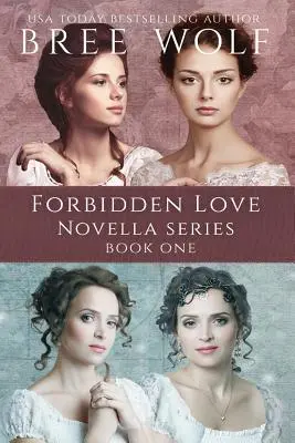 Verbotene Liebe - Novellen-Box: Die Novellen 1 - 4 - A Forbidden Love Novella Box Set One: Novellas 1 - 4