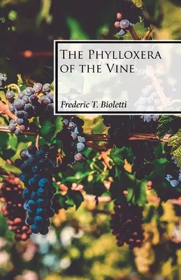 Die Reblaus an der Rebe - The Phylloxera of the Vine