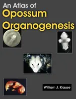 Ein Atlas der Opossum-Organogenese: Opossum Entwicklung - An Atlas of Opossum Organogenesis: Opossum Development