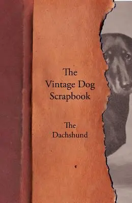 The Vintage Dog Scrapbook - Der Dachshund - The Vintage Dog Scrapbook - The Dachshund