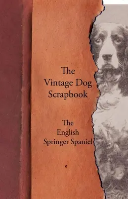 The Vintage Dog Scrapbook - Der Englische Springer Spaniel - The Vintage Dog Scrapbook - The English Springer Spaniel