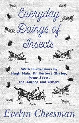 Das alltägliche Treiben der Insekten - Mit Illustrationen von Hugh Main, Dr. Herbert Shirley, Peter Scott, dem Autor und anderen - Everyday Doings of Insects - With Illustrations by Hugh Main, Dr Herbert Shirley, Peter Scott, the Author and Others