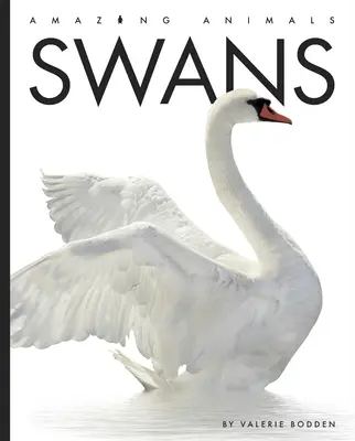 Schwäne - Swans