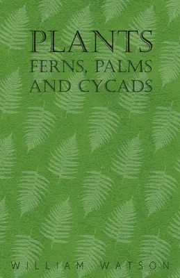 Pflanzen - Farne, Palmen und Cycadeen - Plants - Ferns, Palms and Cycads