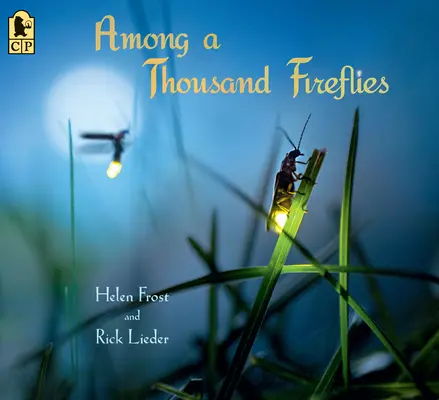 Unter tausenden Glühwürmchen - Among a Thousand Fireflies