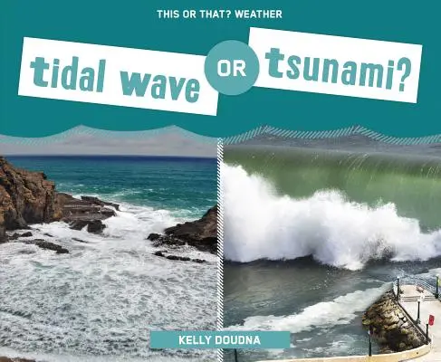 Flutwelle oder Tsunami? - Tidal Wave or Tsunami?