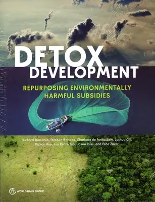 Detox-Entwicklung: Umwidmung umweltschädlicher Subventionen - Detox Development: Repurposing Environmentally Harmful Subsidies