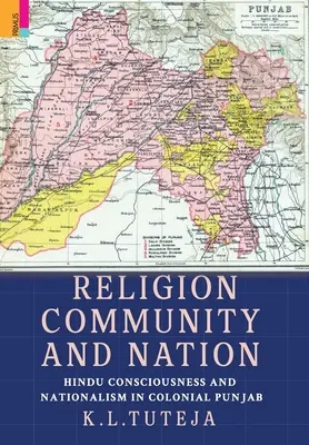 Religion, Gemeinschaft und Nation: Hindu-Bewusstsein und Nationalismus im kolonialen Punjab: Hindu-Bewusstsein und Nationalismus im kolonialen Punjab - Religion, Community and Nation: Hindu Consciousness and Nationalism in Colonial Punjab: Hindu Consciousness and Nationalism in Colonial Punjab