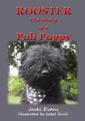 Rooster - das Tagebuch eines Puli-Welpen - Rooster - the Diary of a Puli Puppy