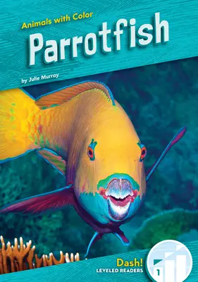Papageienfisch - Parrotfish