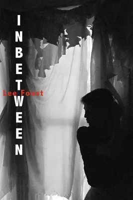Dazwischen: (Ein lyrischer Roman) - Inbetween: (A Lyric Novel)