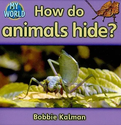 Wie verstecken sich die Tiere? - How Do Animals Hide?