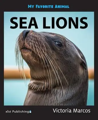 Mein Lieblingstier: Seelöwen - My Favorite Animal: Sea Lions