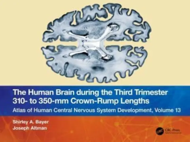 Das menschliche Gehirn im dritten Trimester bei 310 bis 350 mm Scheitel-Steiß-Länge: Atlas der Entwicklung des Zentralnervensystems, Band 13 - The Human Brain During the Third Trimester 310- To 350-MM Crown-Rump Lengths: Atlas of Central Nervous System Development, Volume 13