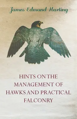 Hinweise zur Haltung von Falken und zur praktischen Falknerei - Hints on the Management of Hawks and Practical Falconry