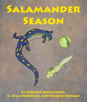 Salamander-Saison - Salamander Season