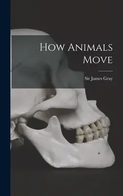 Wie Tiere sich bewegen - How Animals Move